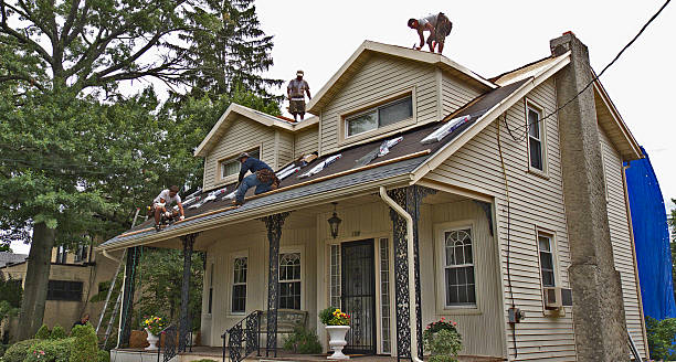 Best Storm Damage Roof Repair  in Tatamy, PA
